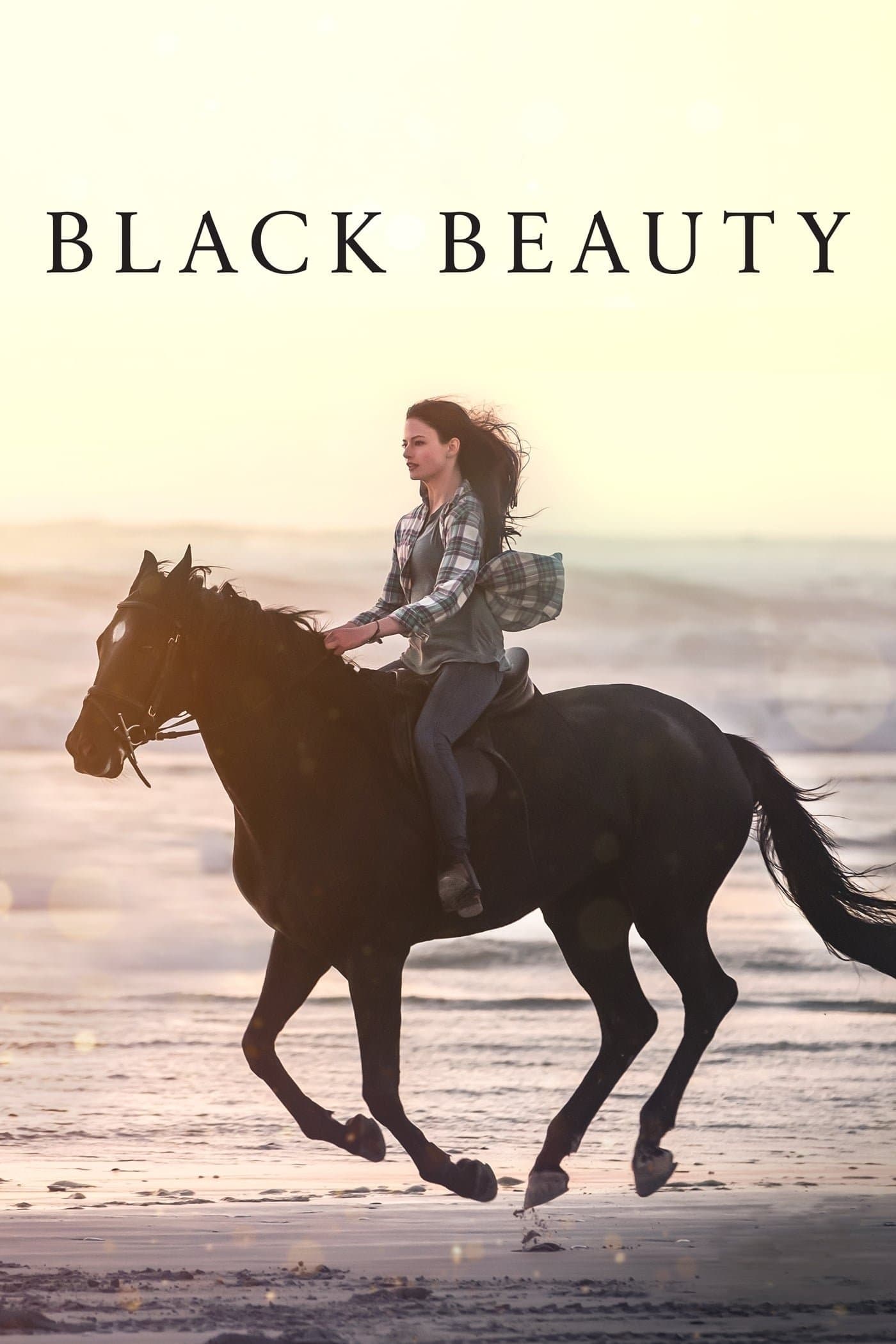 Black Beauty photo