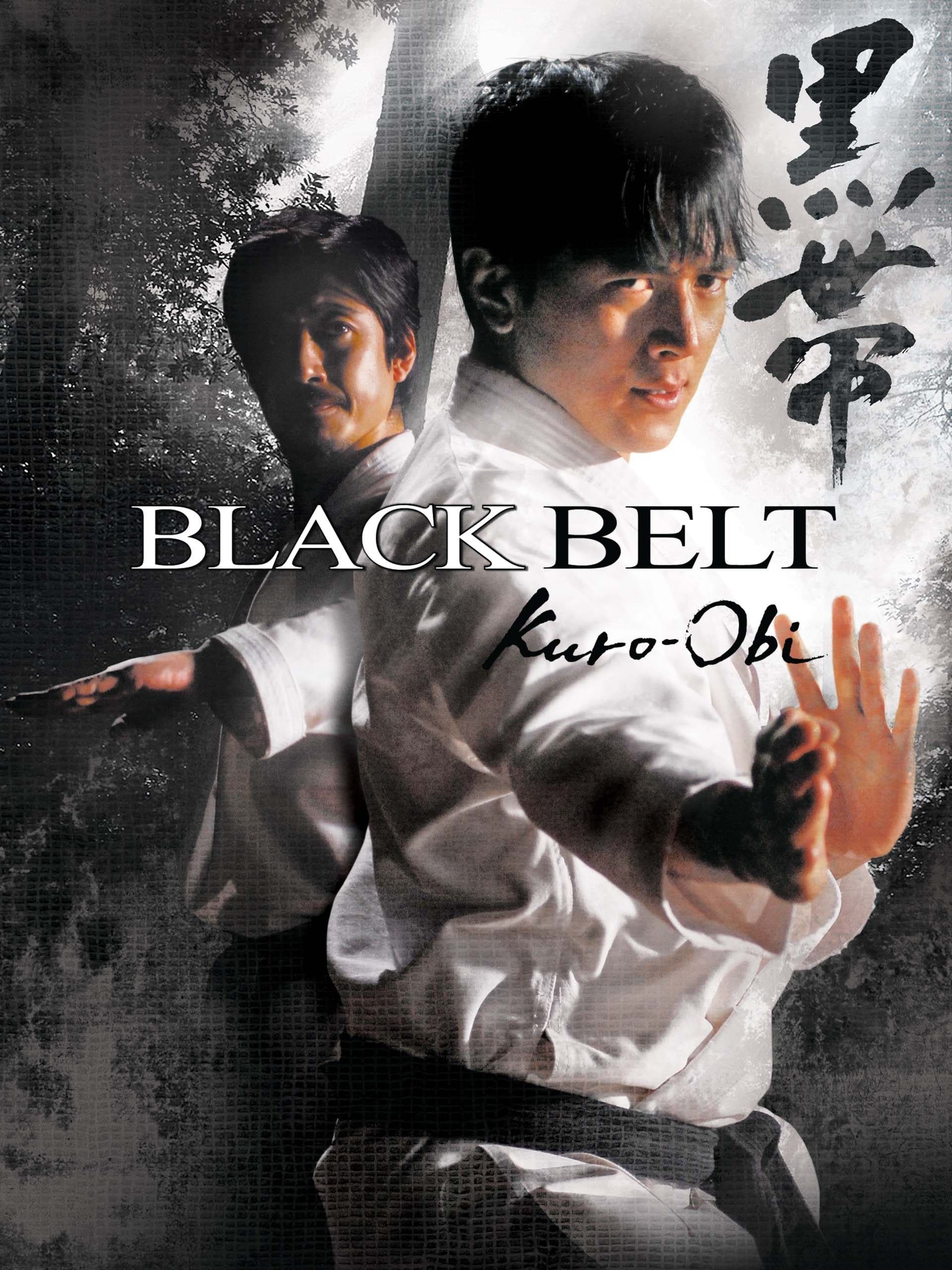 Black Belt photo