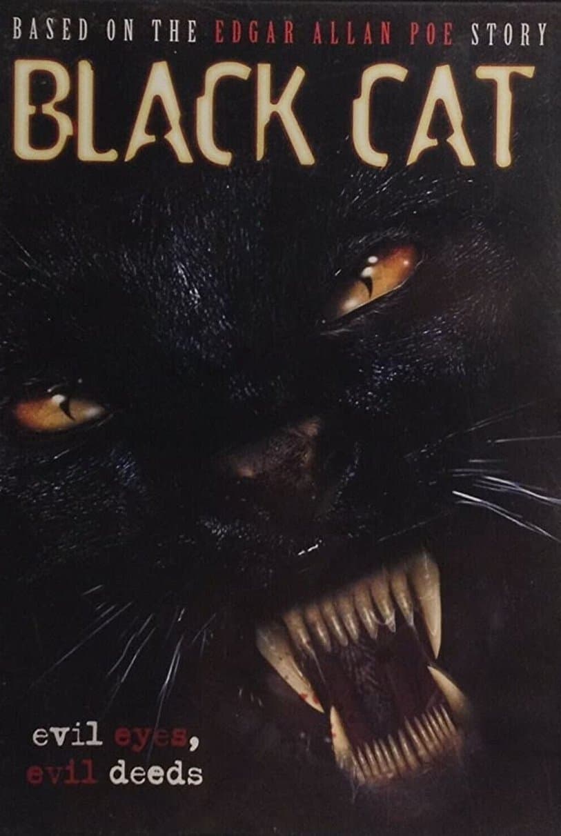 Black Cat photo