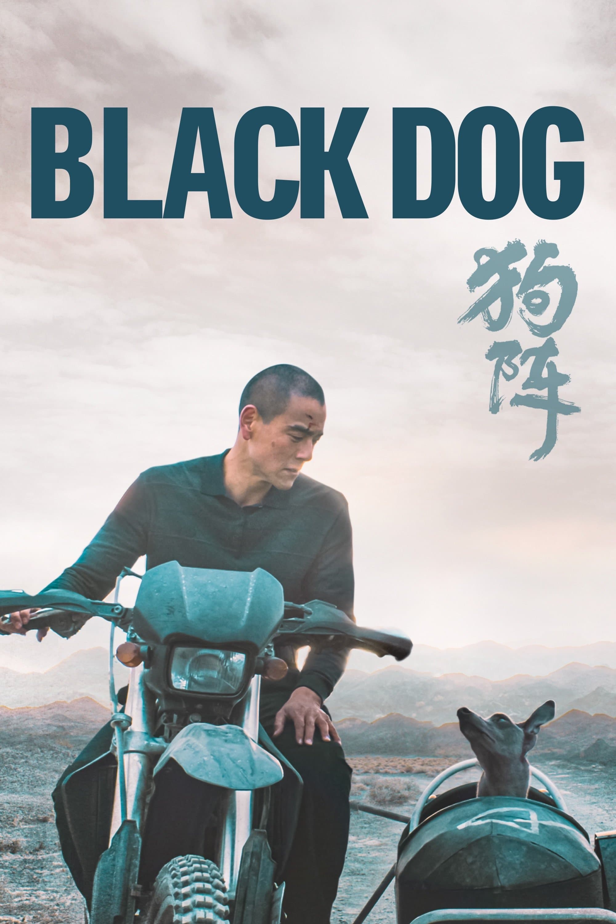 Black Dog photo