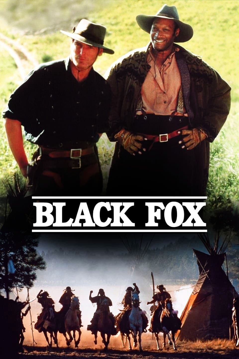 Black Fox photo