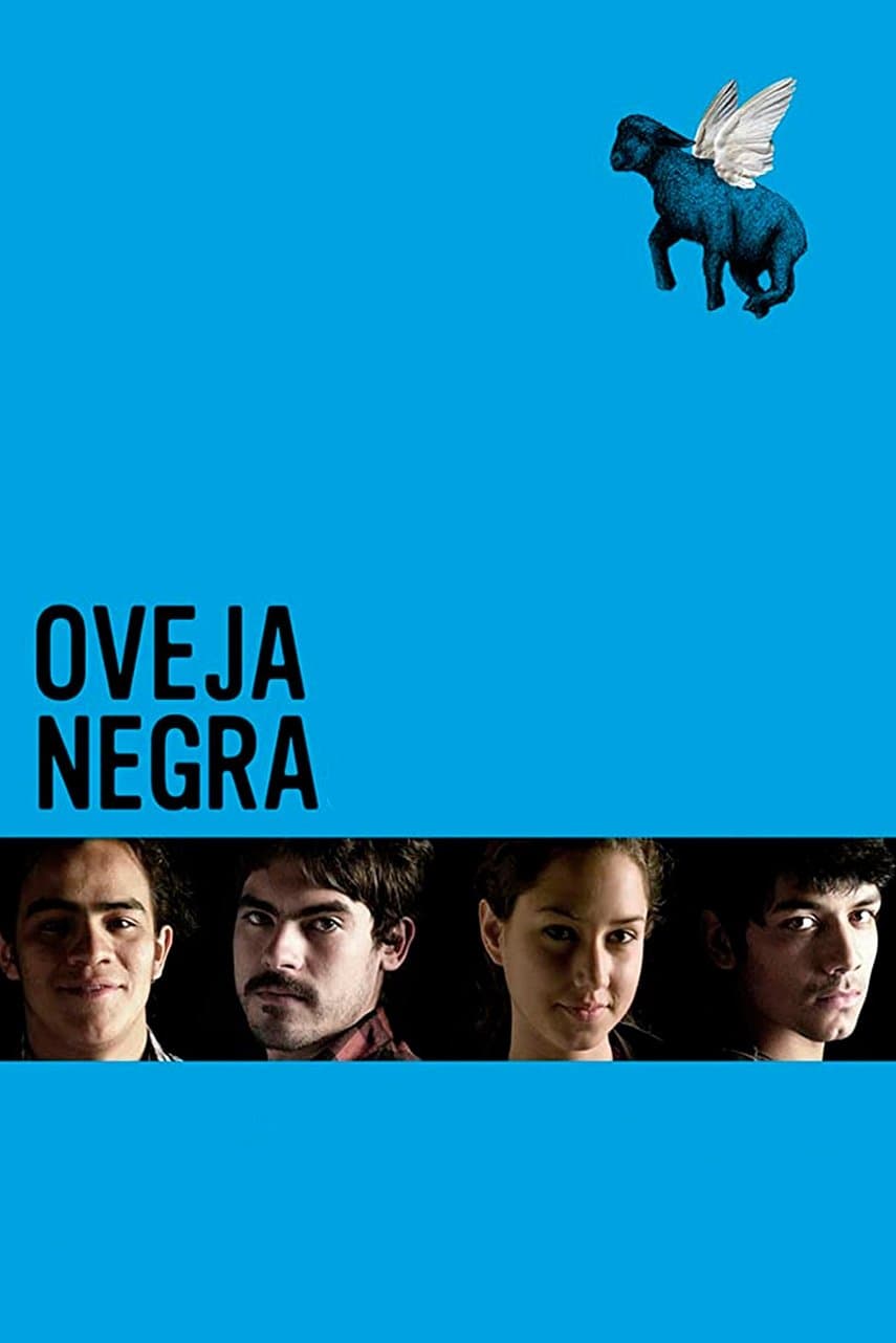 Black Sheep photo