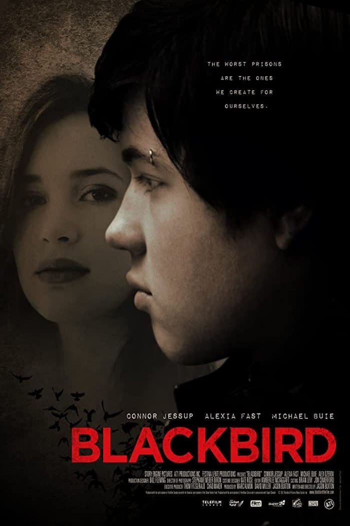 Blackbird photo