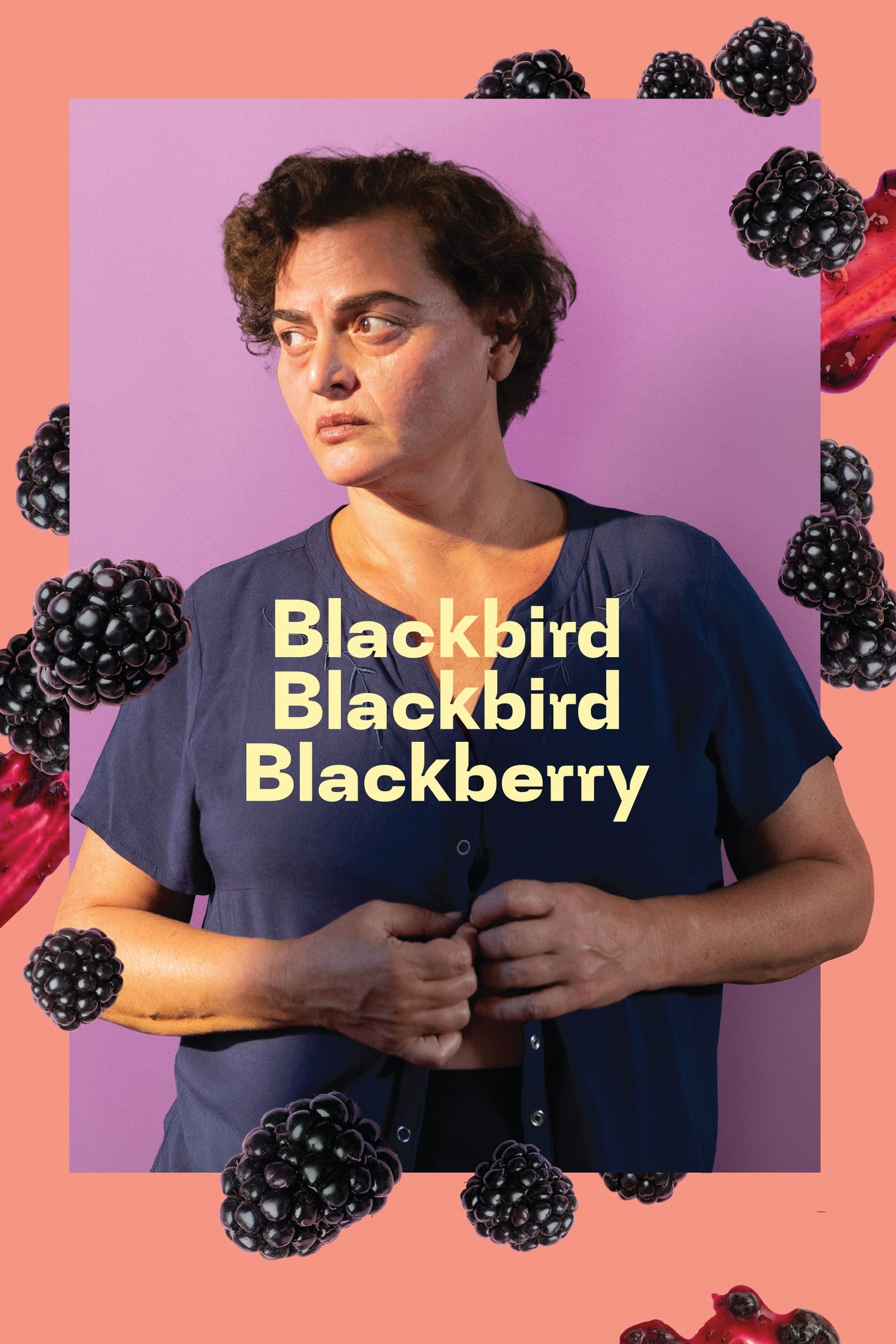 Blackbird Blackbird Blackberry photo