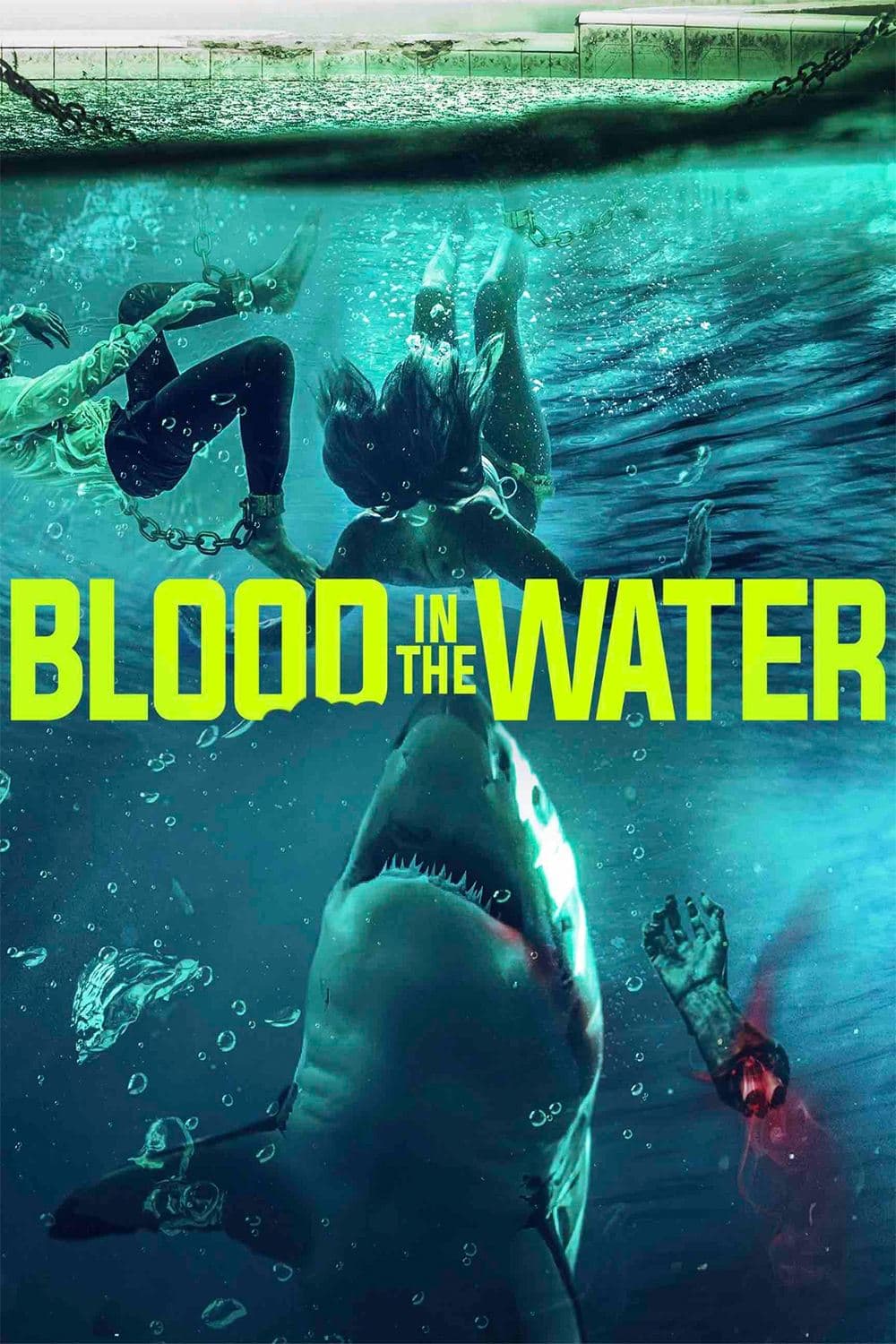 Blood in the Water photo