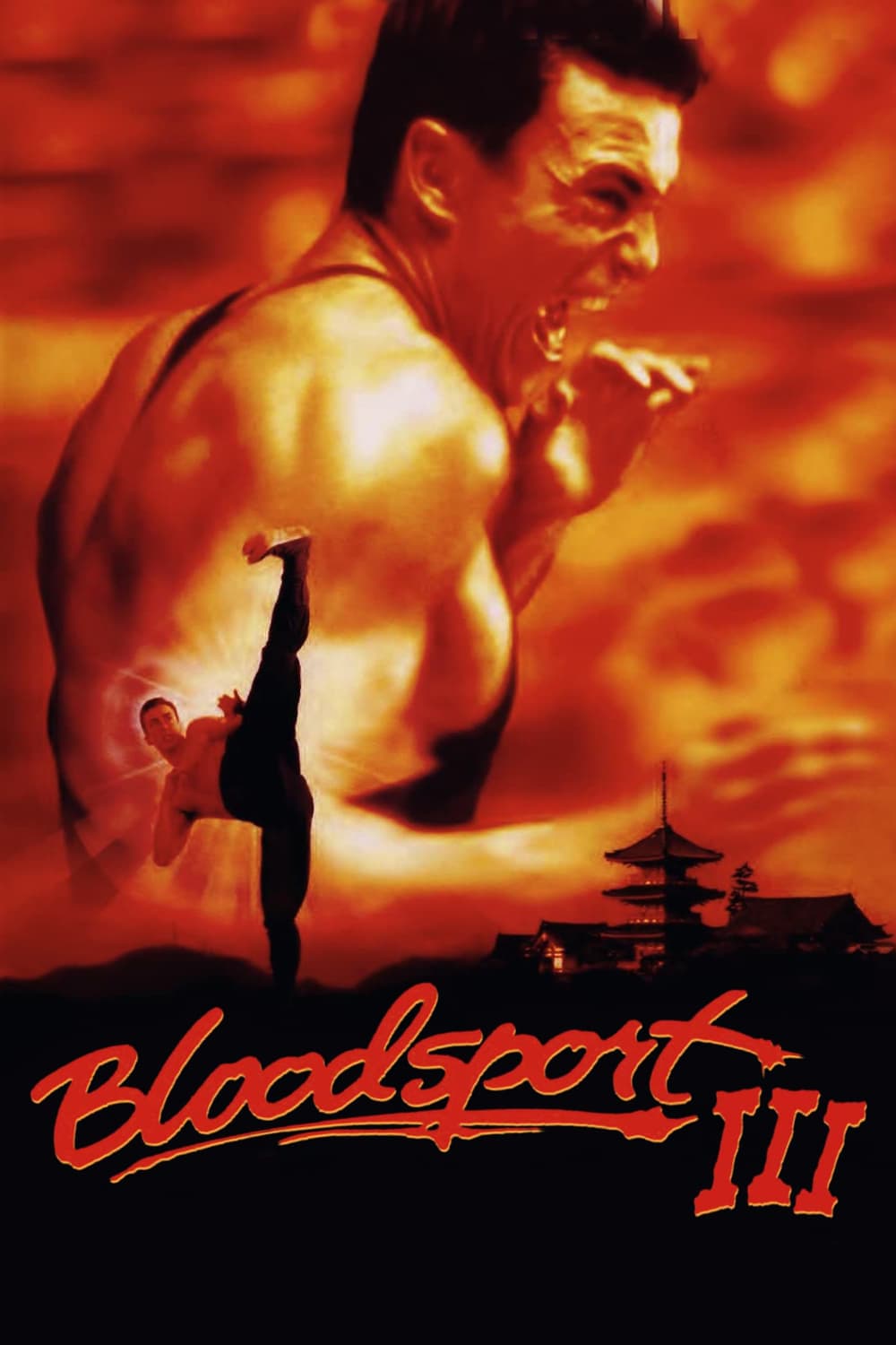 Bloodsport III photo