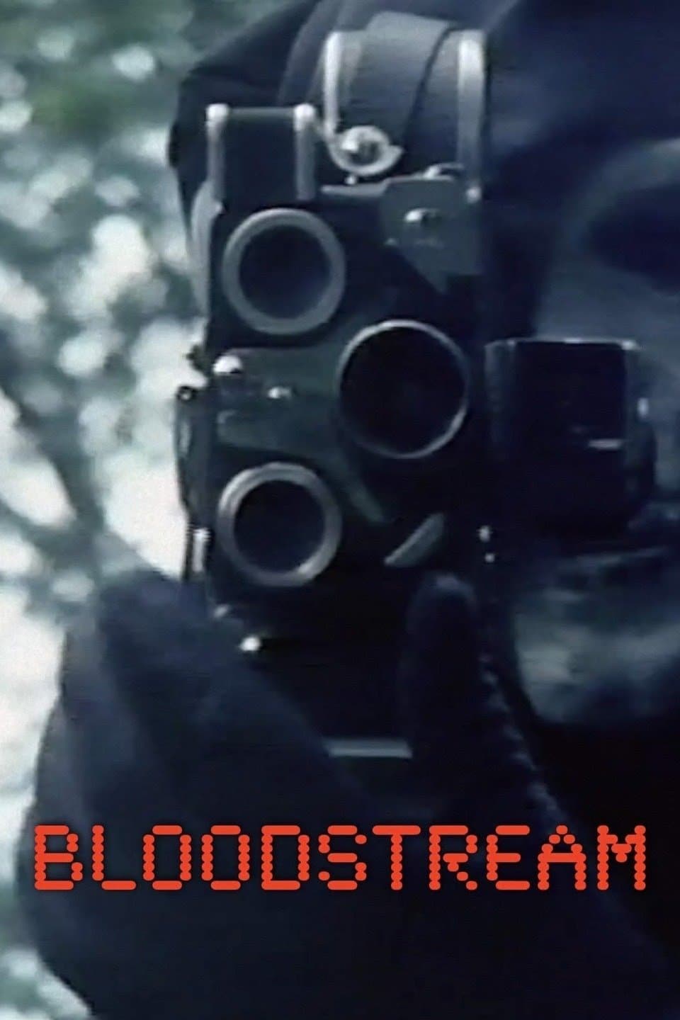 Bloodstream photo