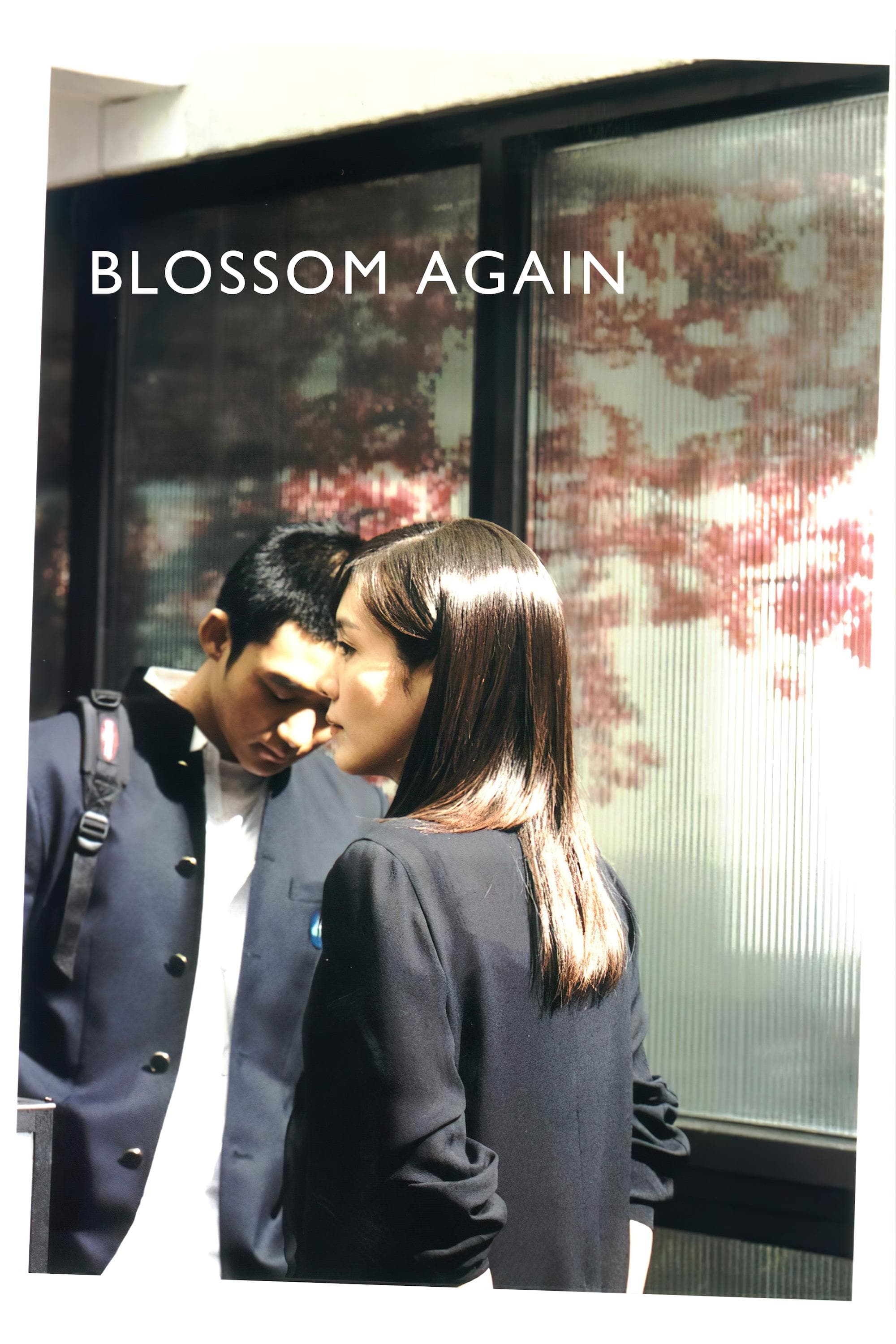 Blossom Again photo