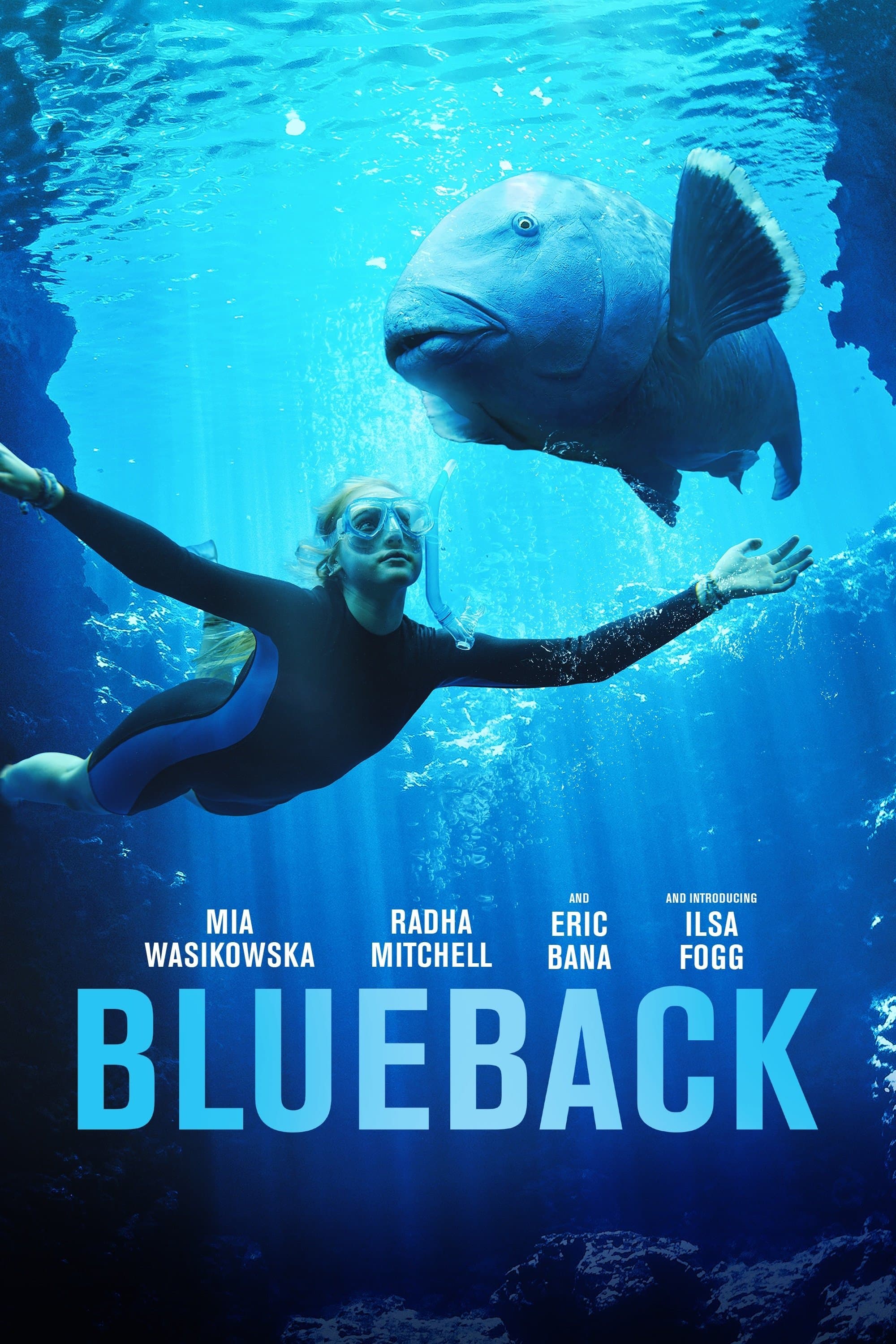 Blueback photo