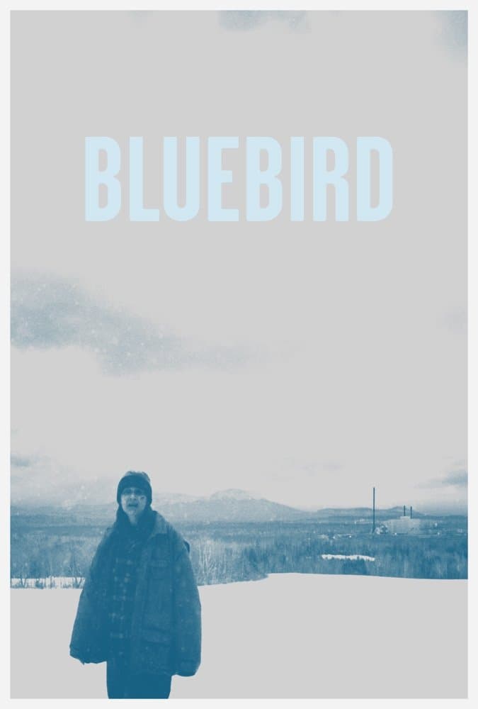 Bluebird photo