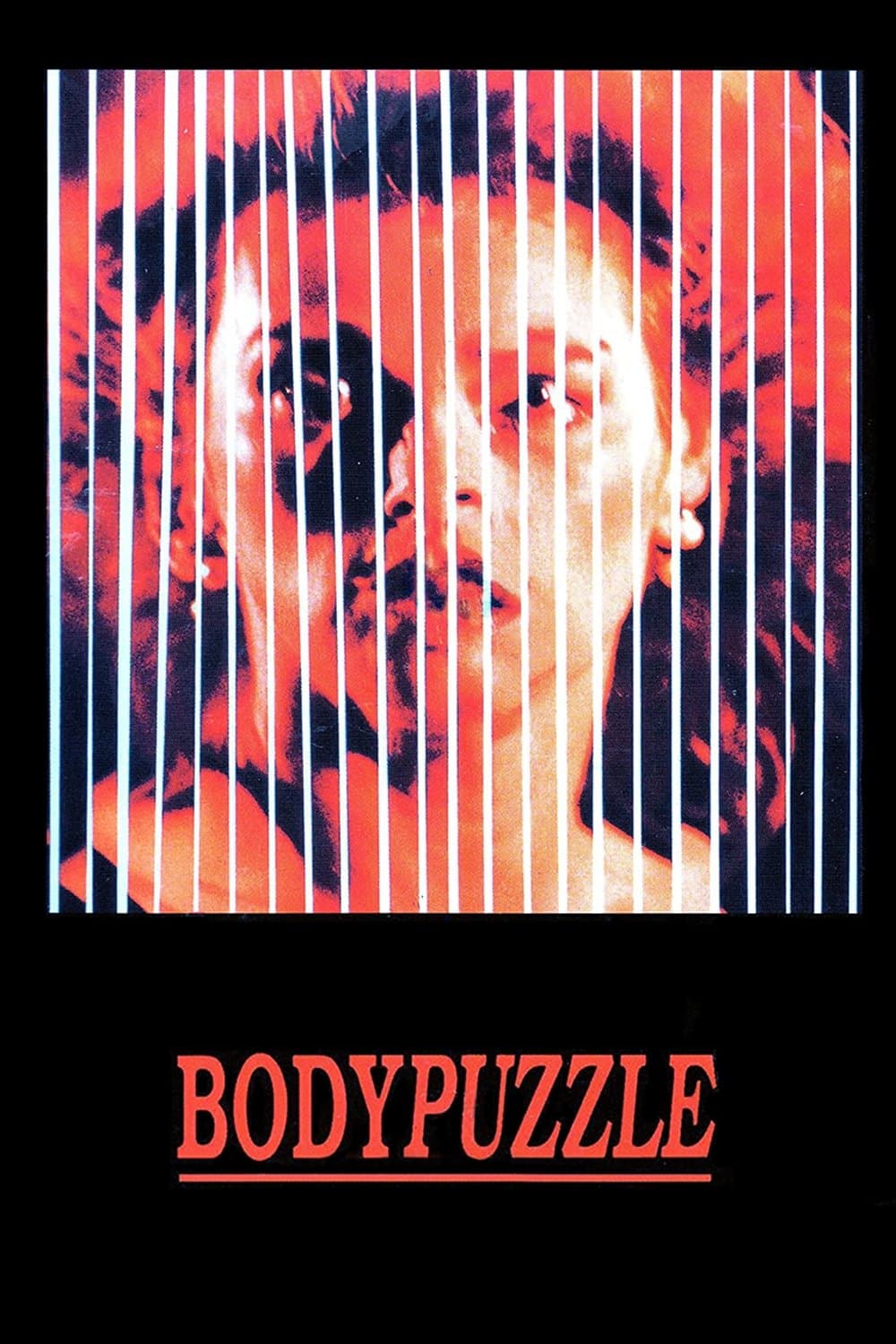 Body Puzzle photo