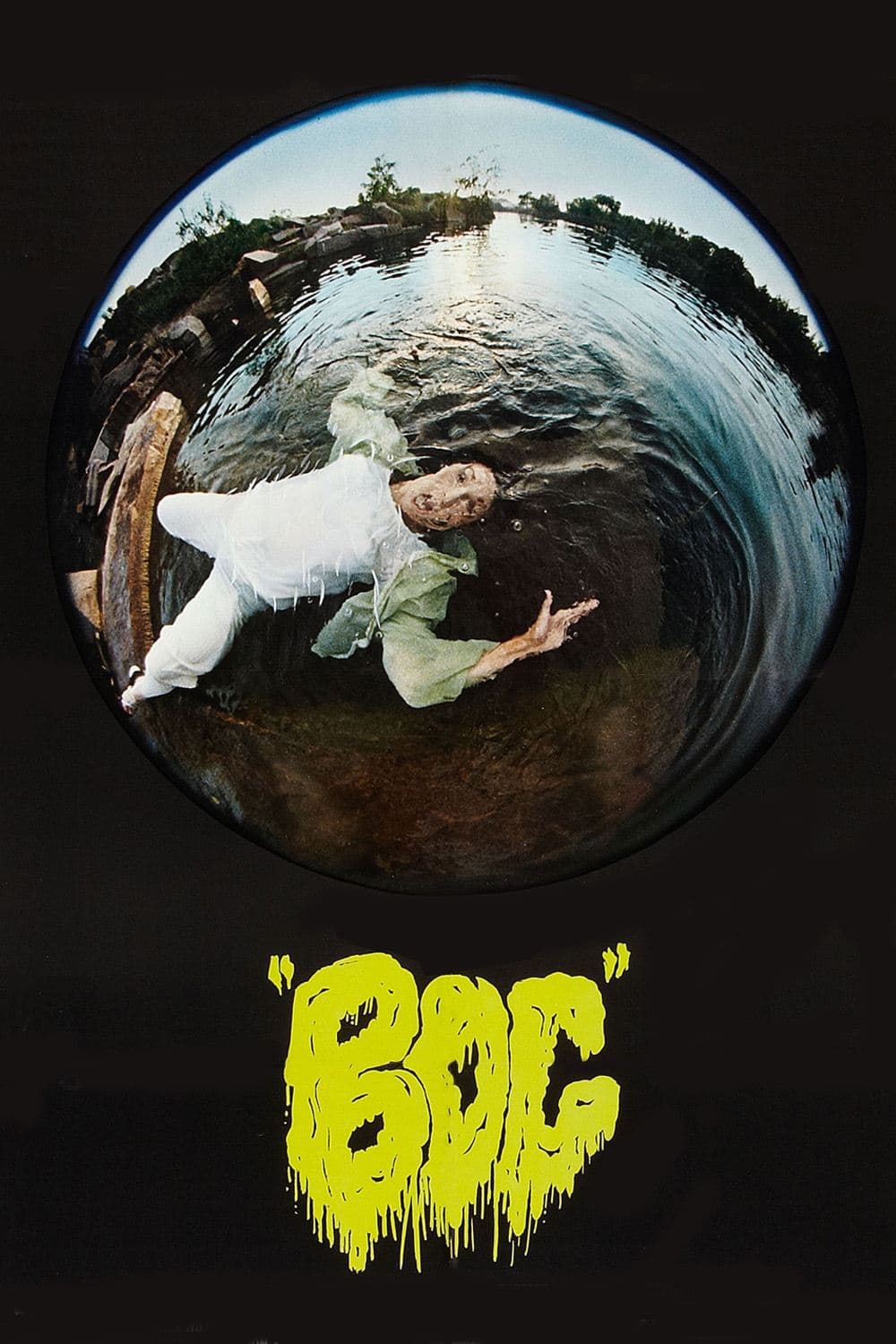 Bog photo