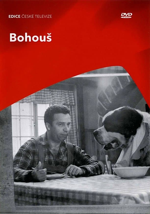Bohous photo