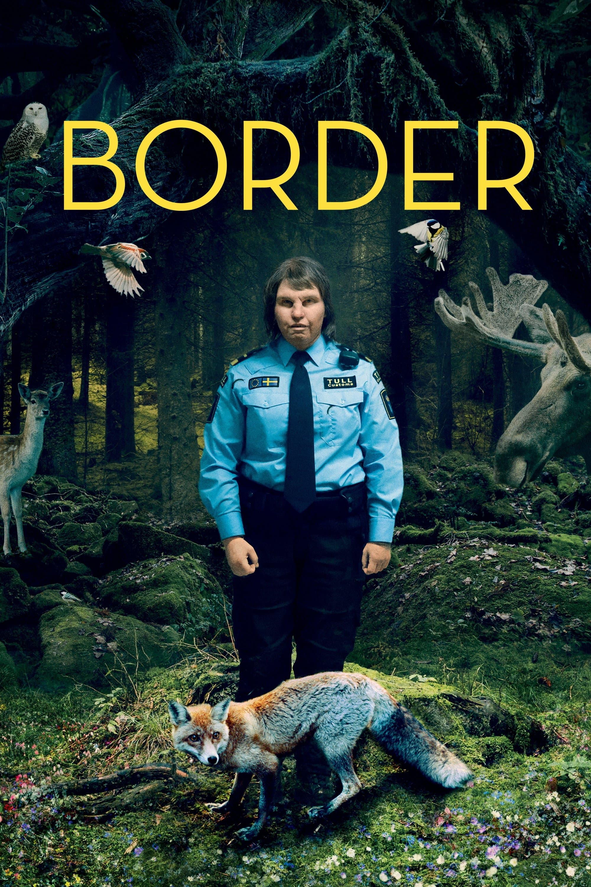 Border photo