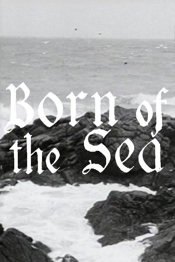 Born of the Sea photo