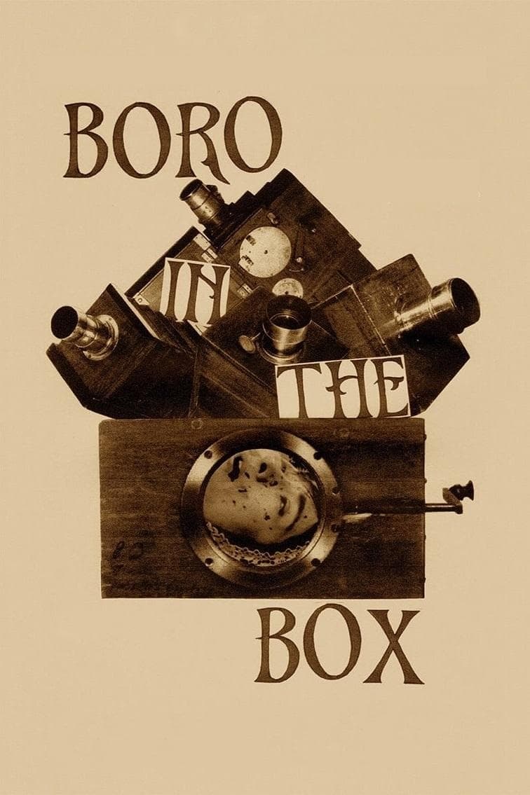 Boro in the Box photo