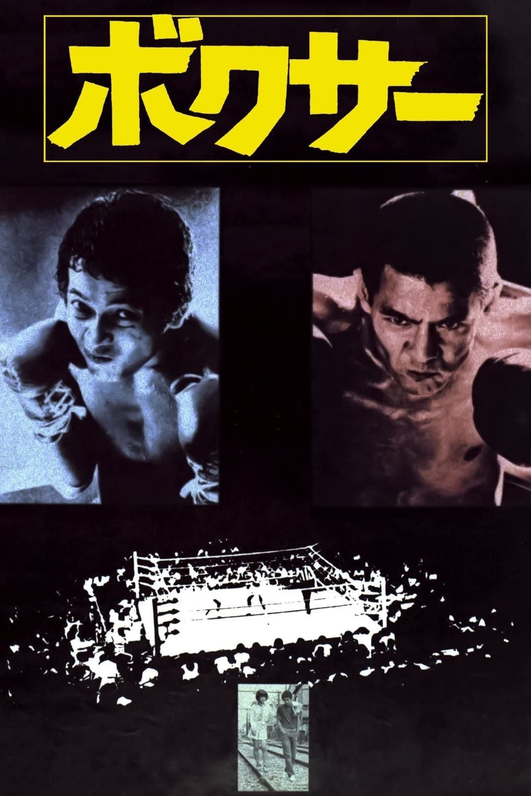 Boxer photo