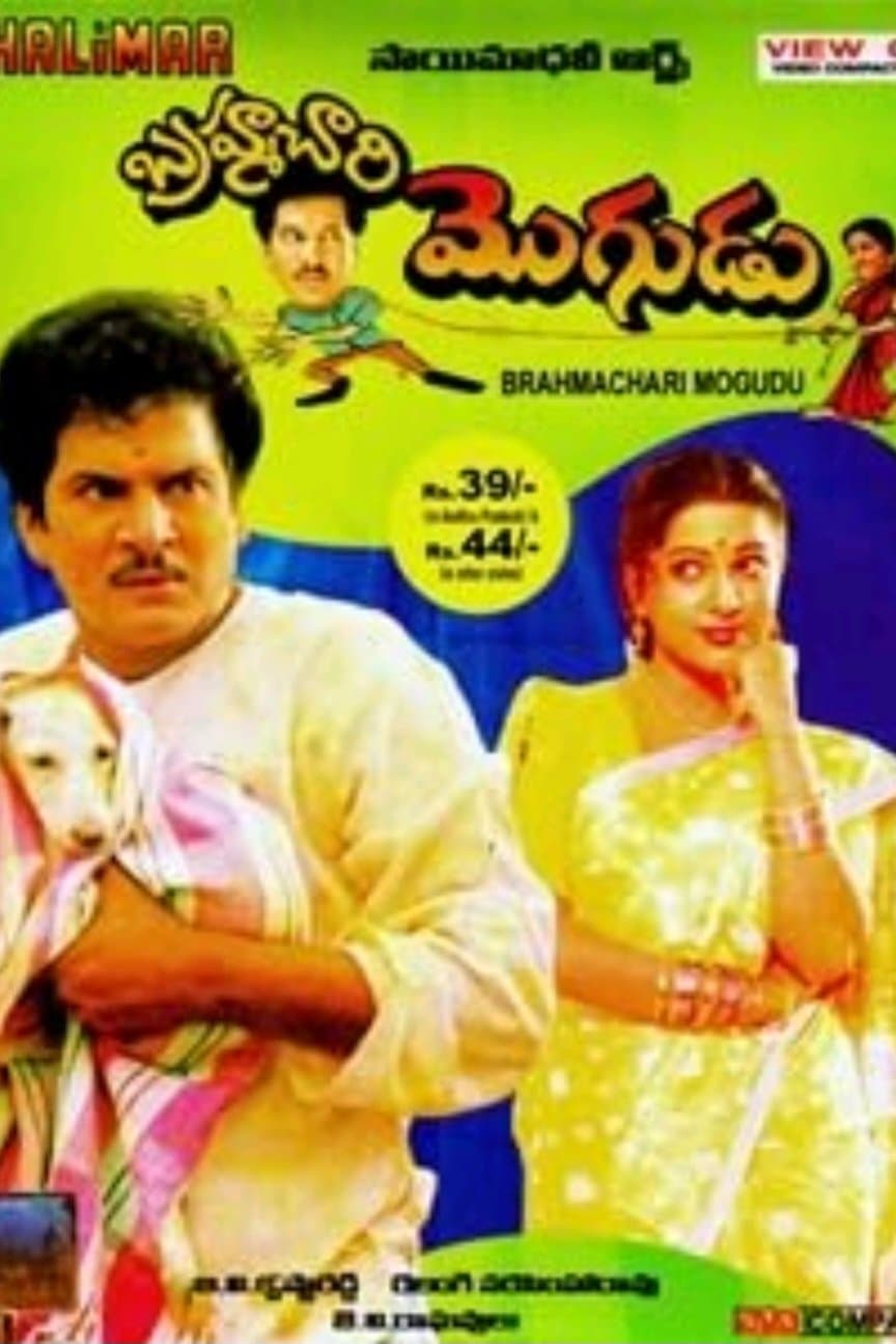 Brahmachari Mogudu photo
