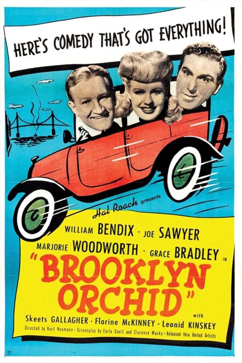 Brooklyn Orchid photo