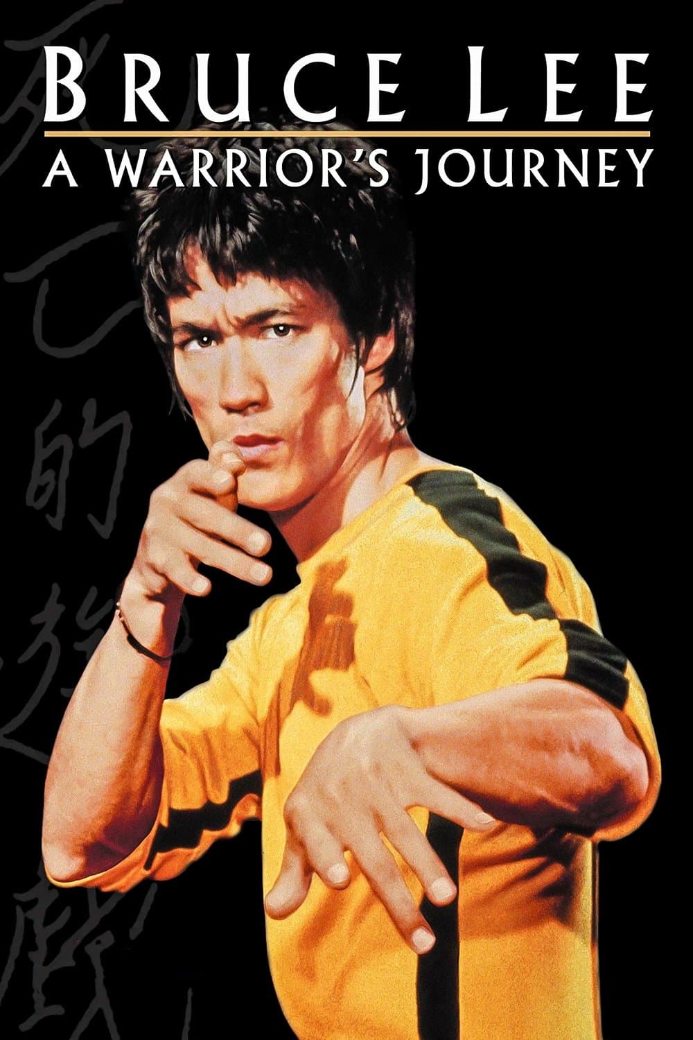 Bruce Lee: A Warrior's Journey photo
