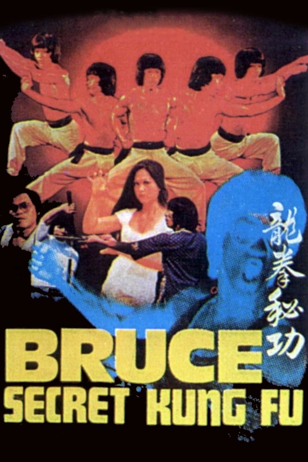 Bruce's Secret Kung Fu photo