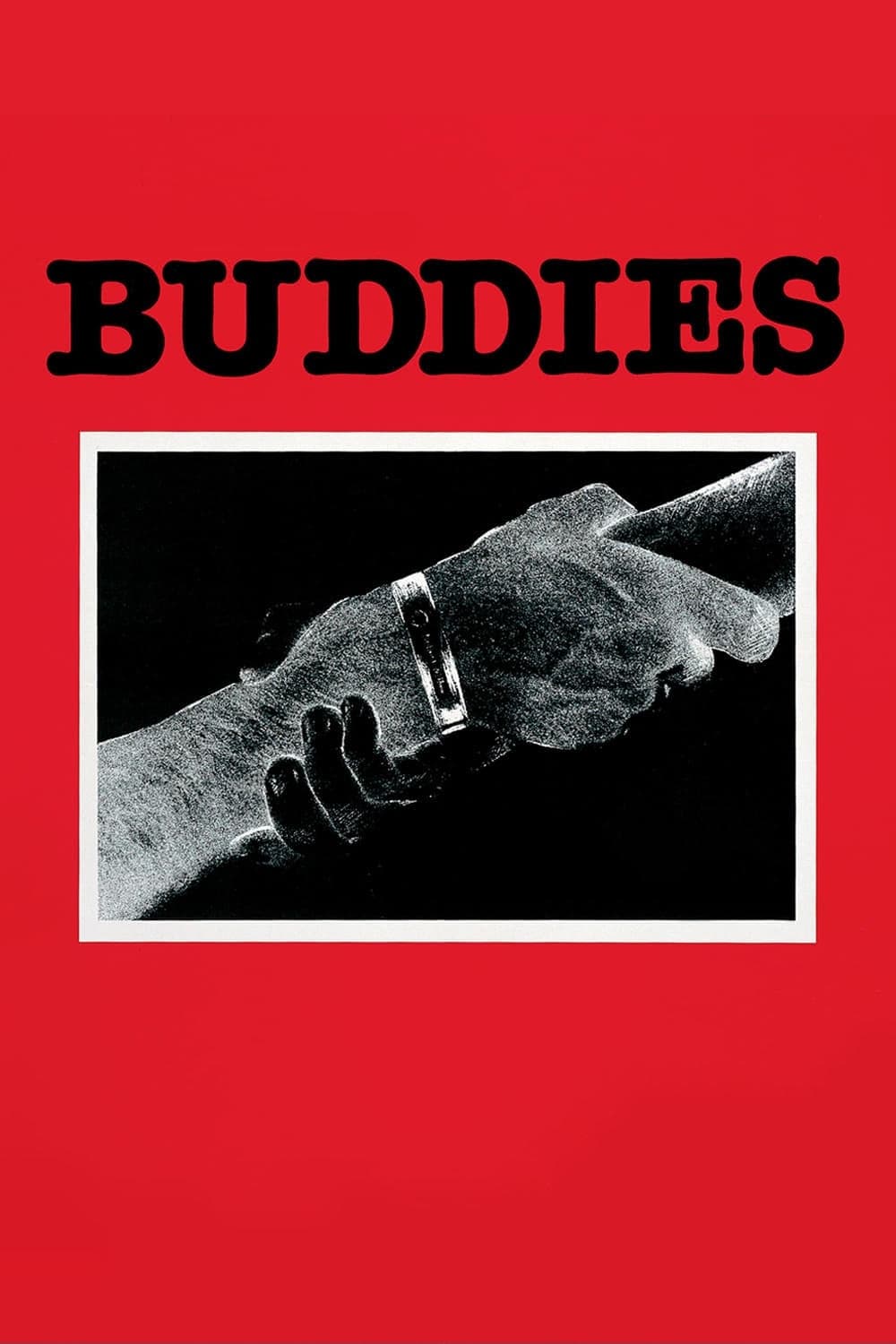 Buddies photo