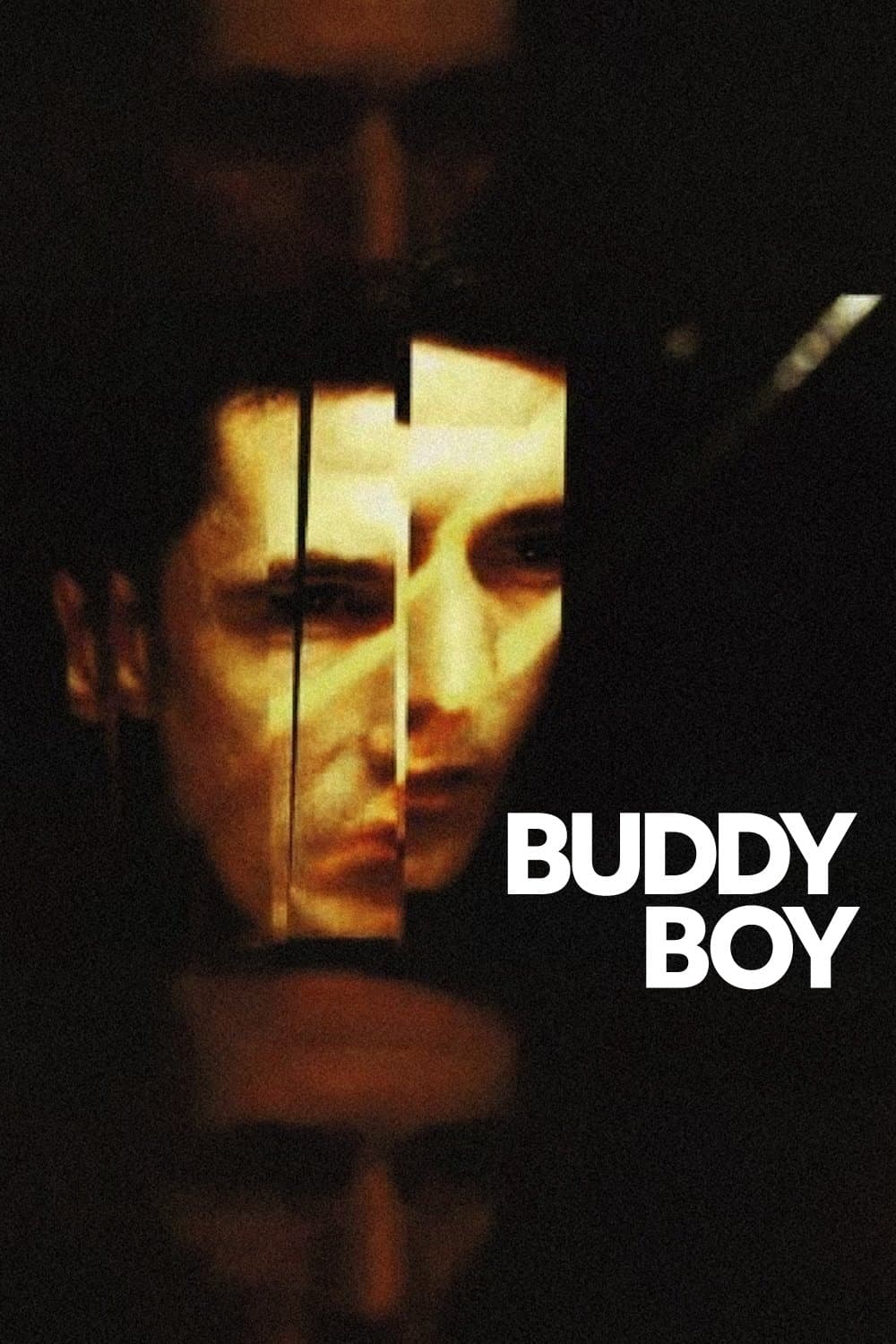 Buddy Boy photo