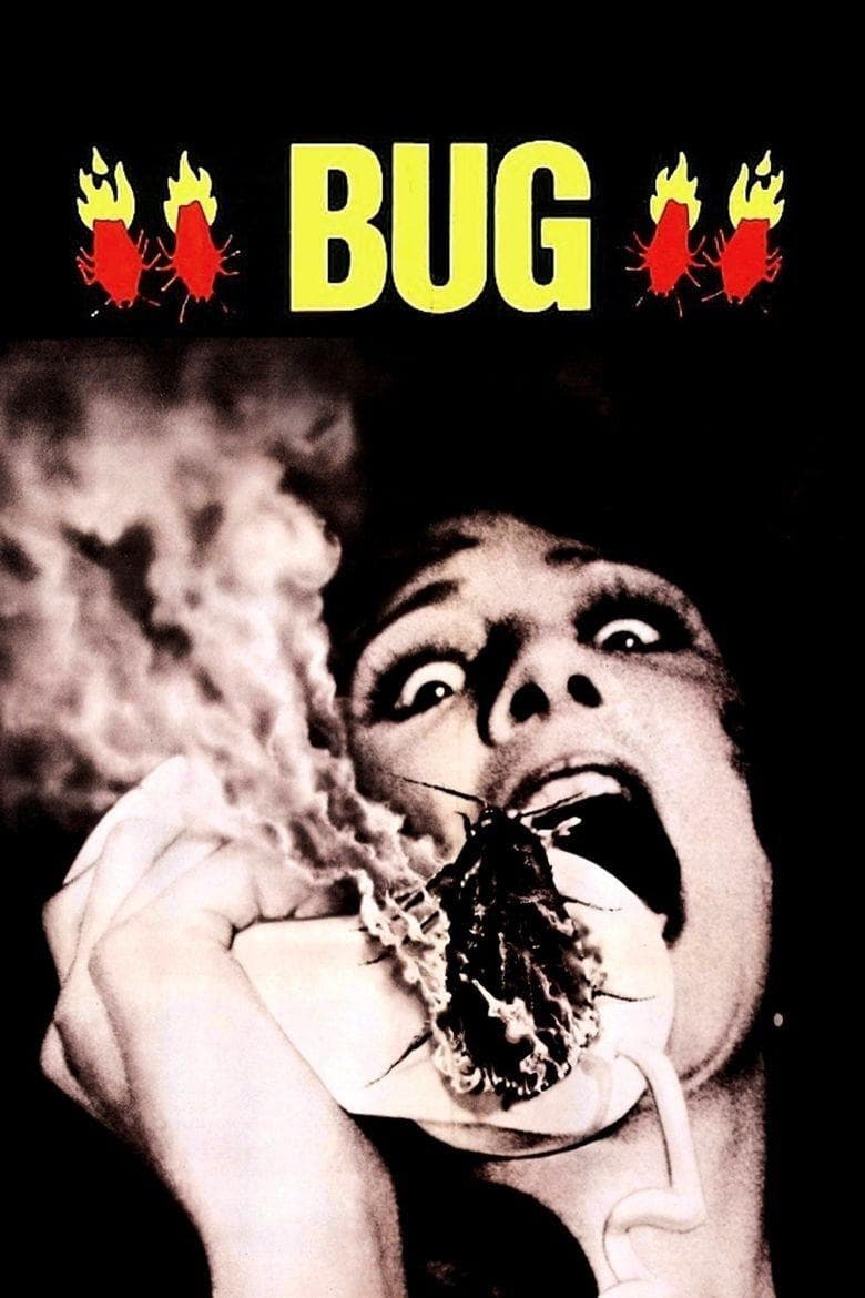 Bug photo