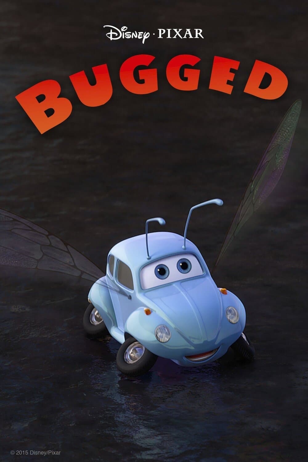 Bugged photo