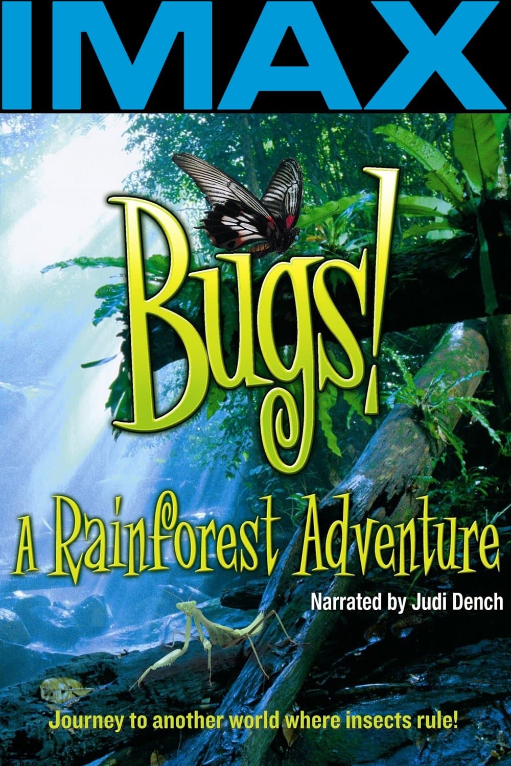 Bugs photo