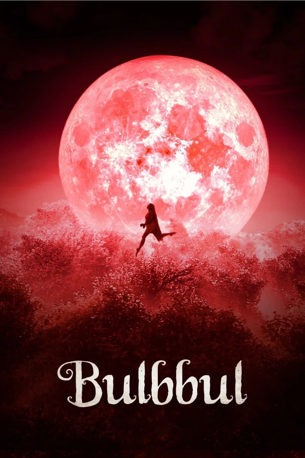 Bulbbul photo