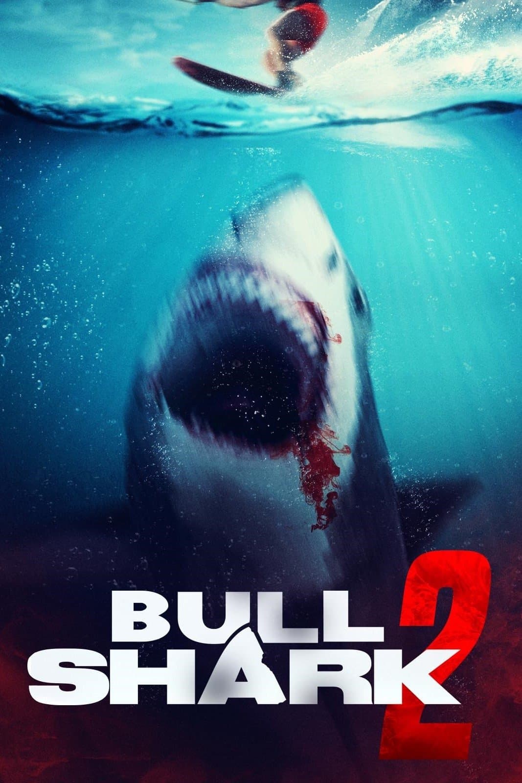 Bull Shark 2 photo