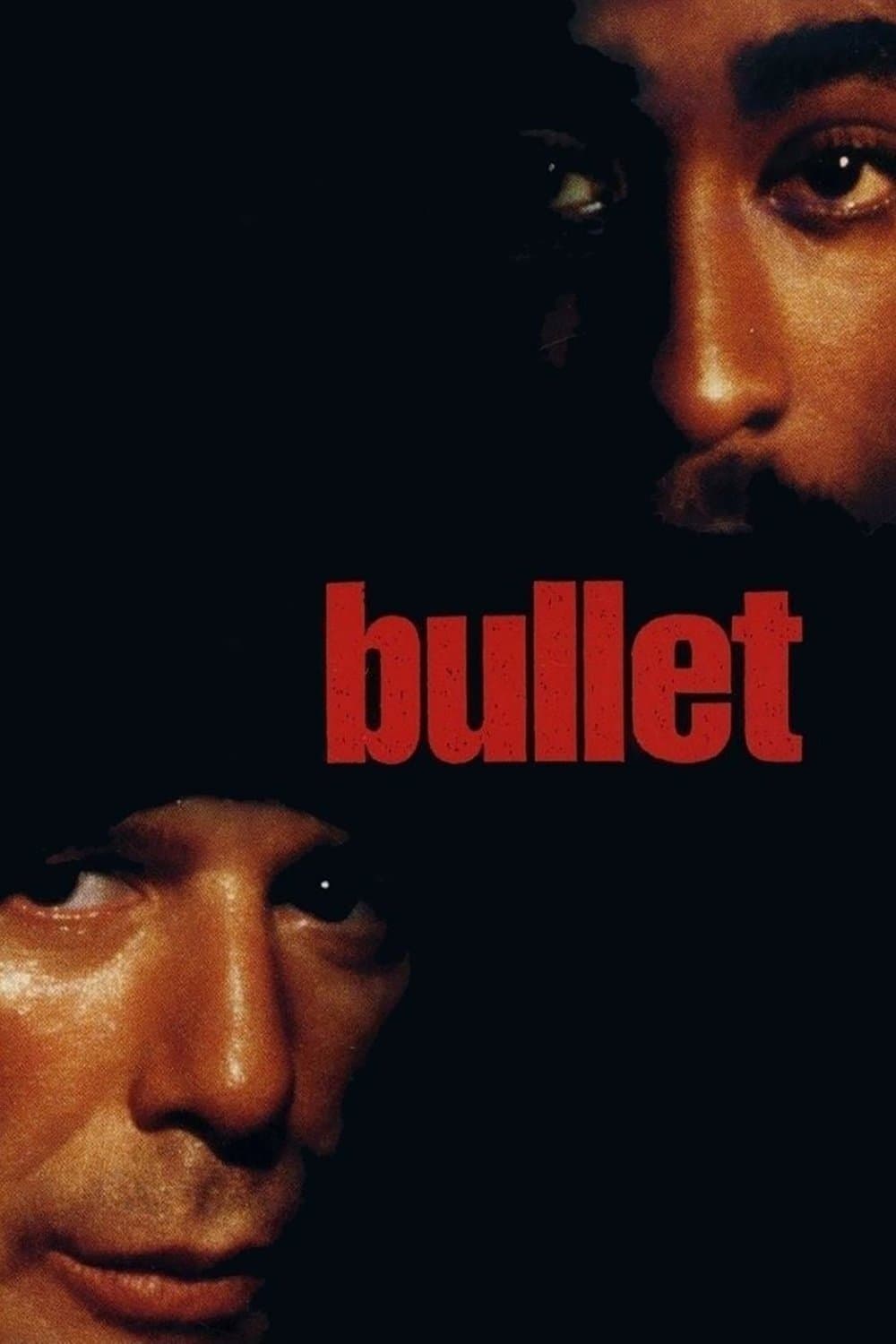 Bullet photo