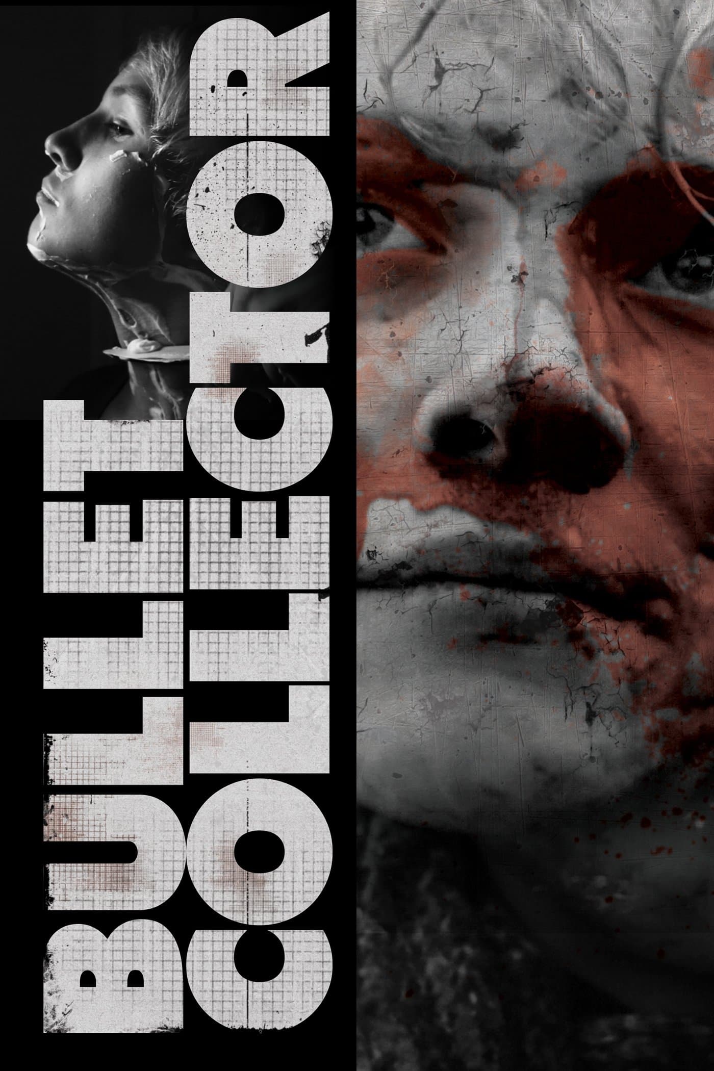 Bullet Collector photo