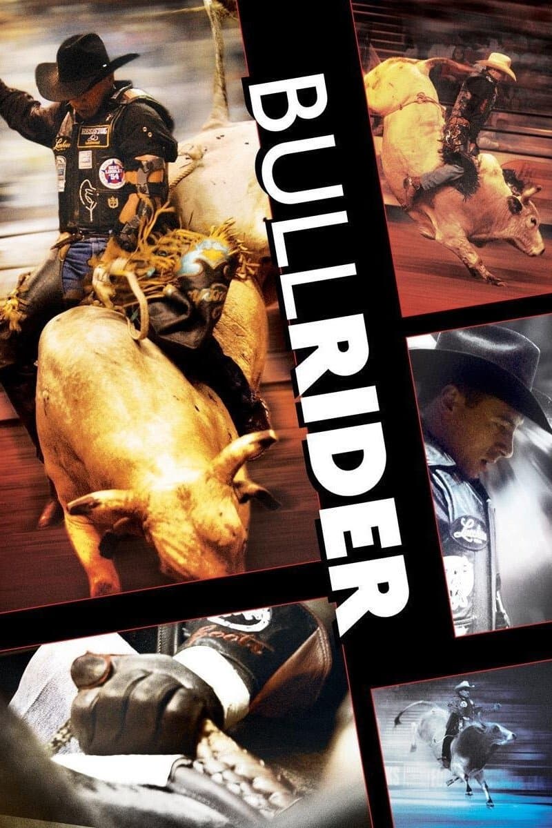 Bullrider photo