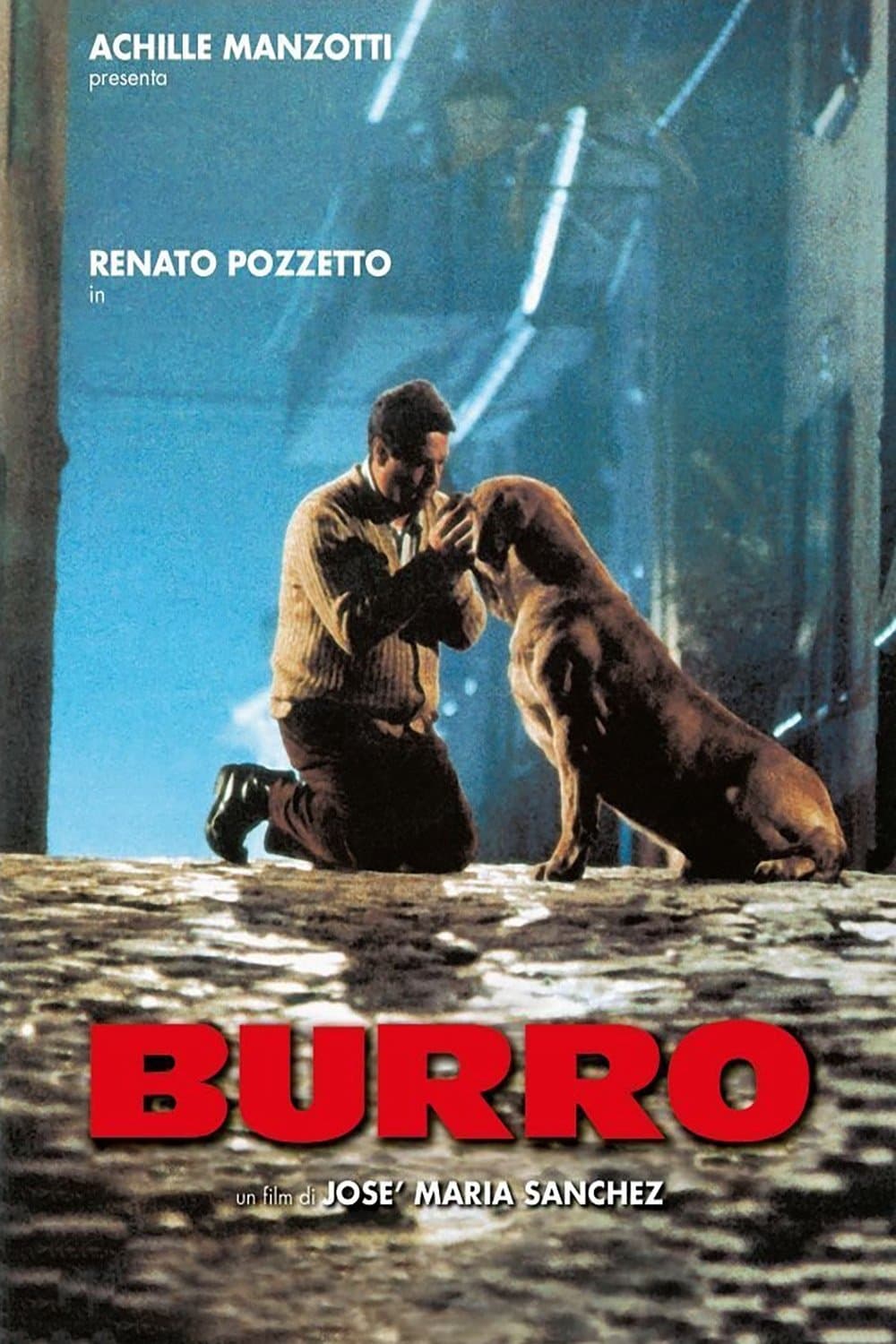 Burro photo