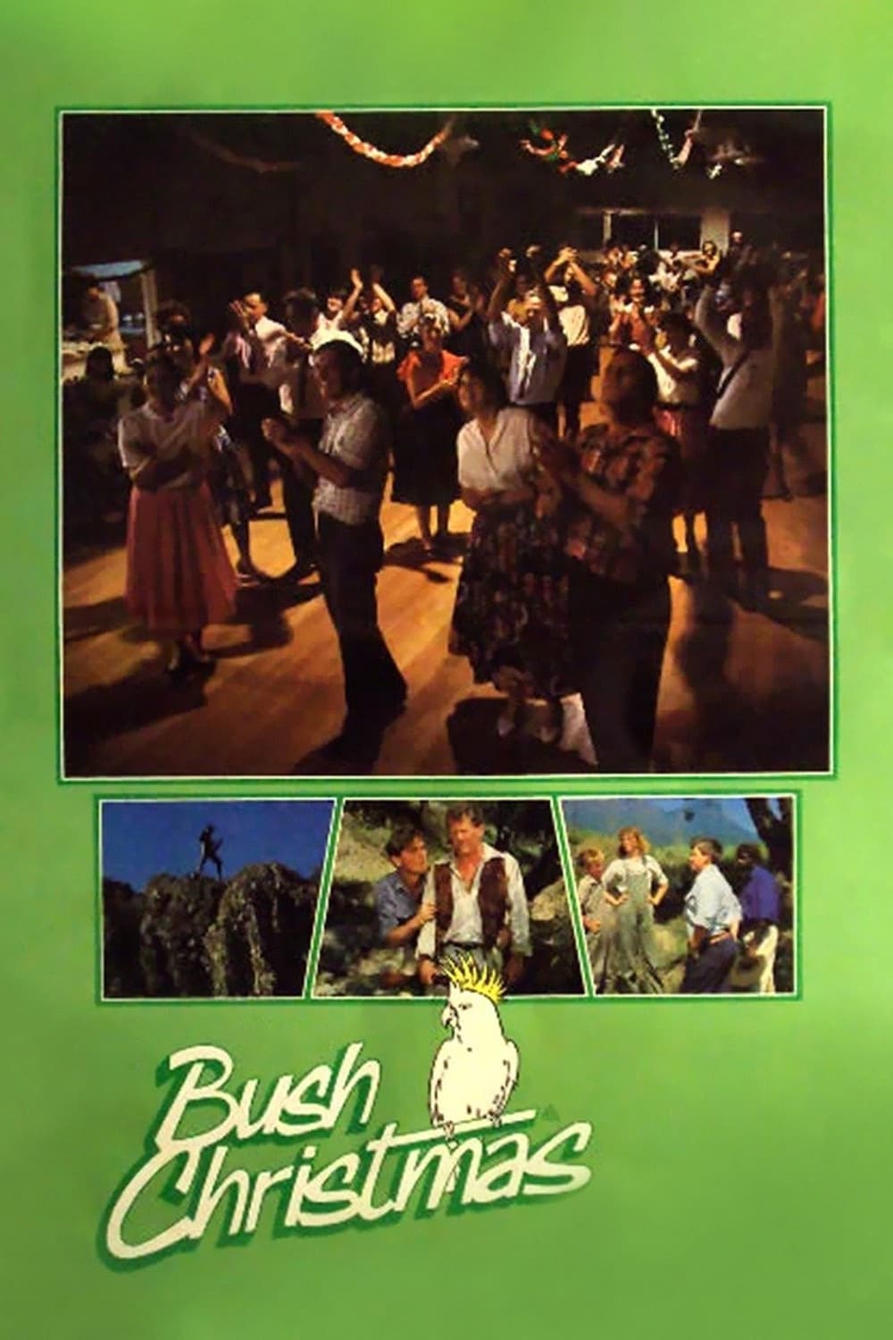 Bush Christmas photo