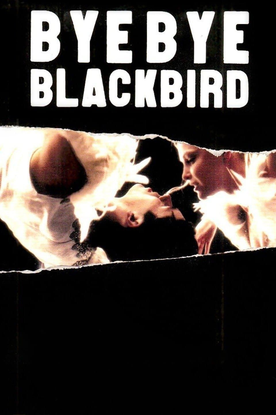 Bye Bye Blackbird photo