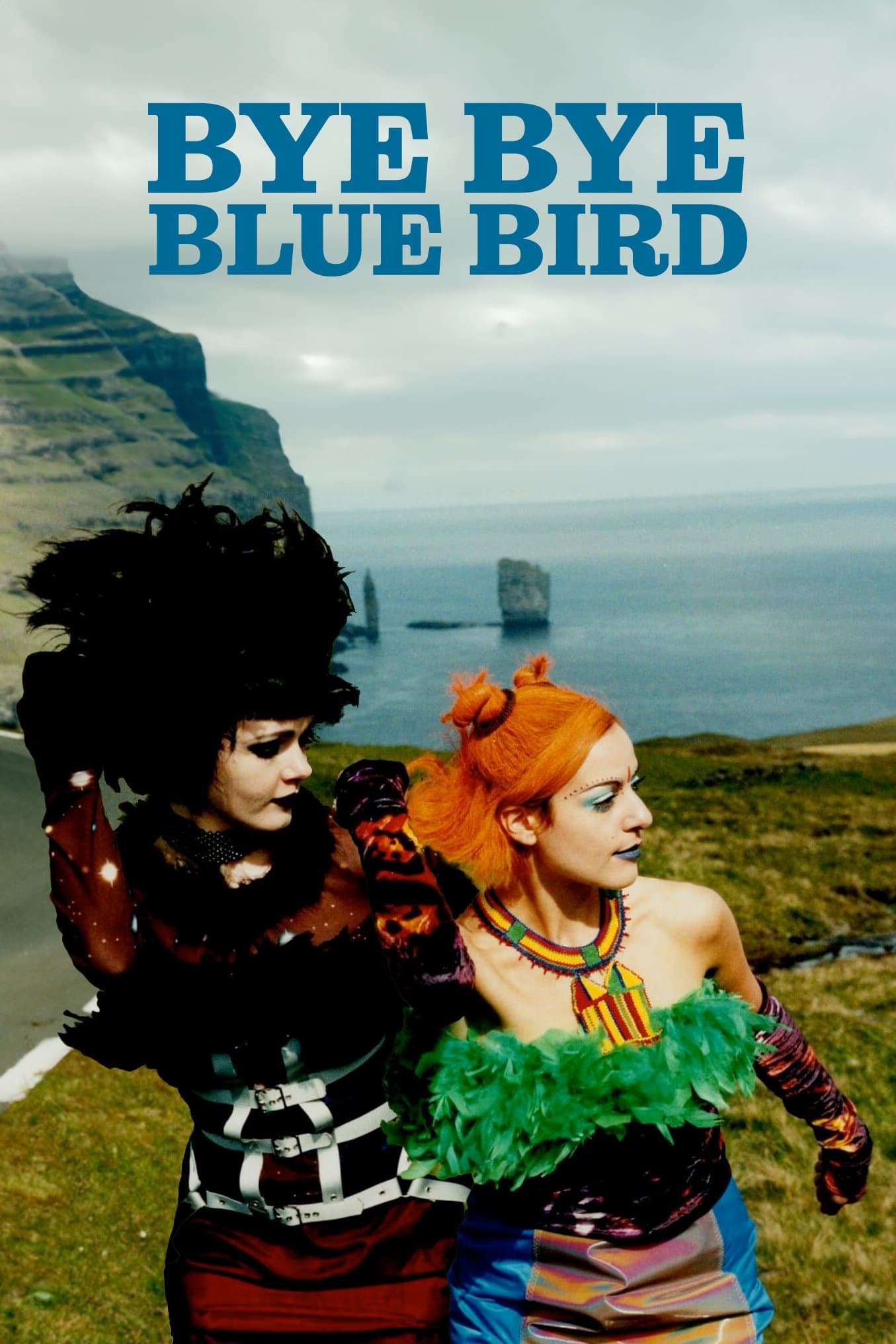 Bye Bye Blue Bird photo