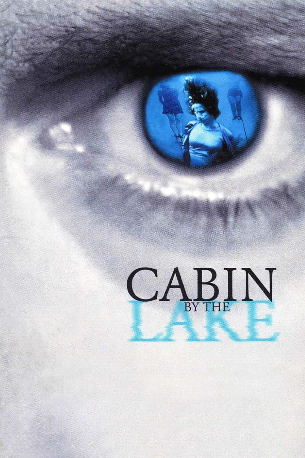 Cabin by the Lake photo