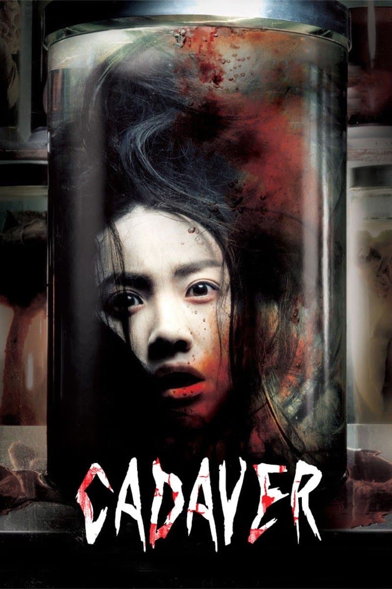Cadaver photo