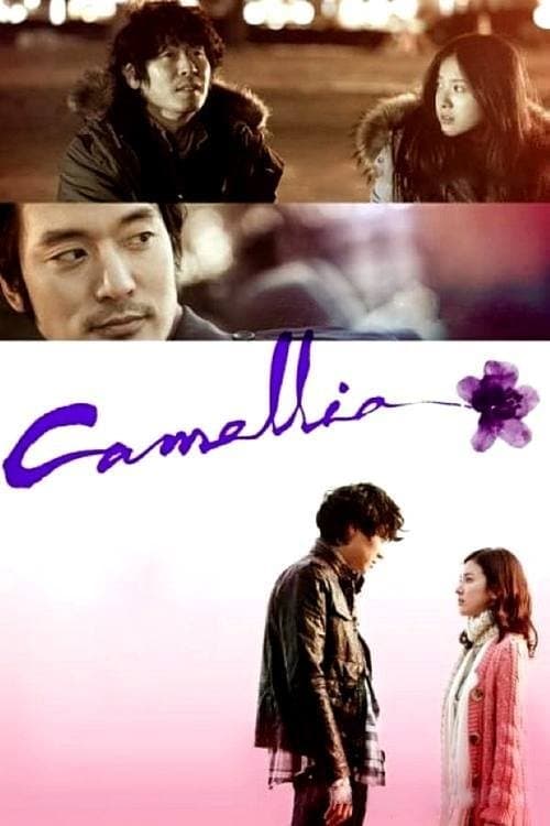 Camellia photo