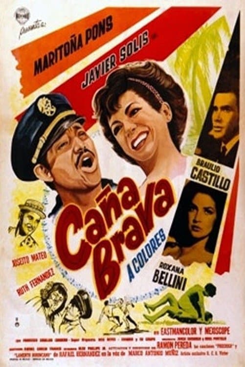 Caña brava photo