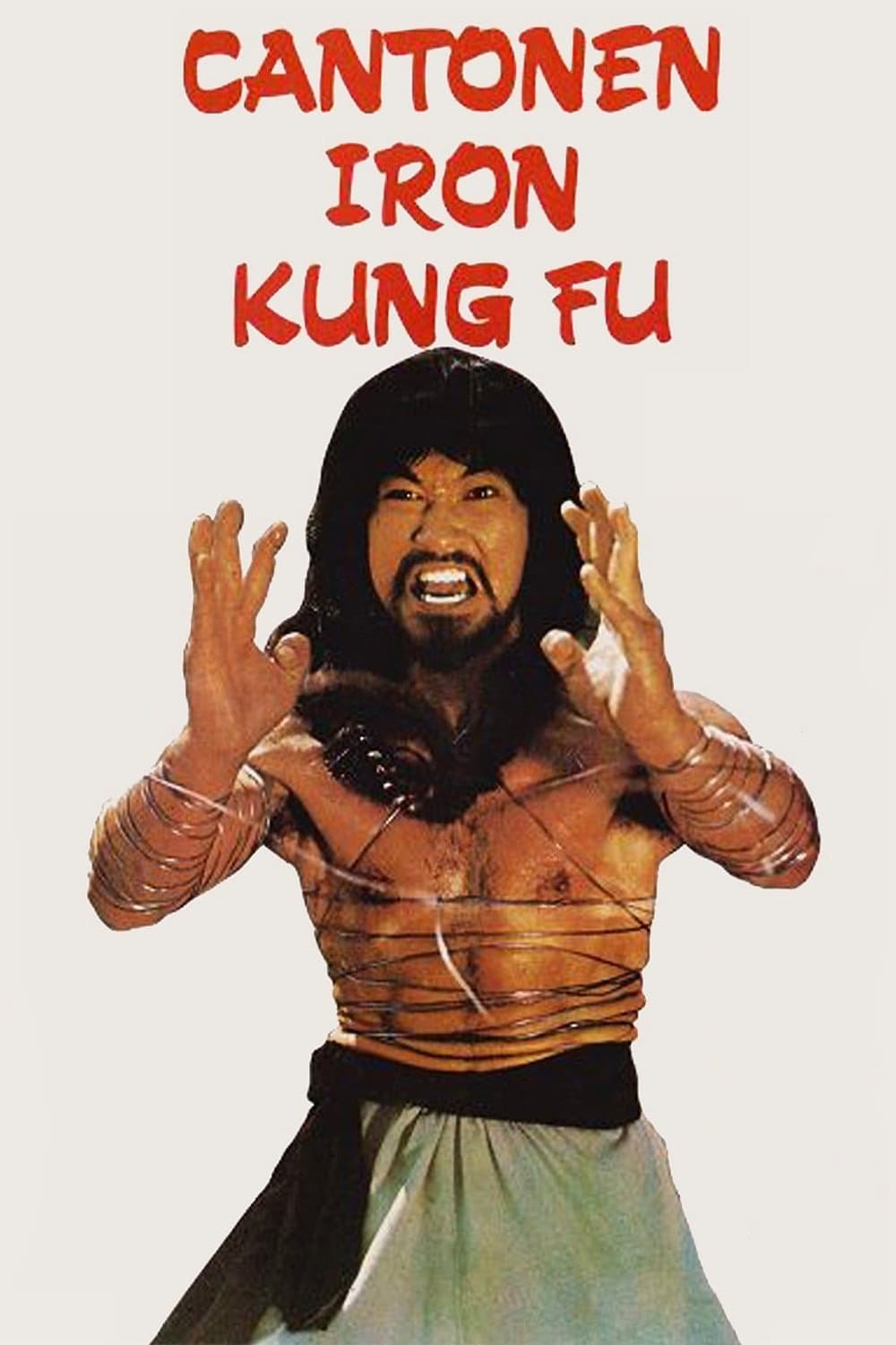 Cantonen Iron Kung Fu photo