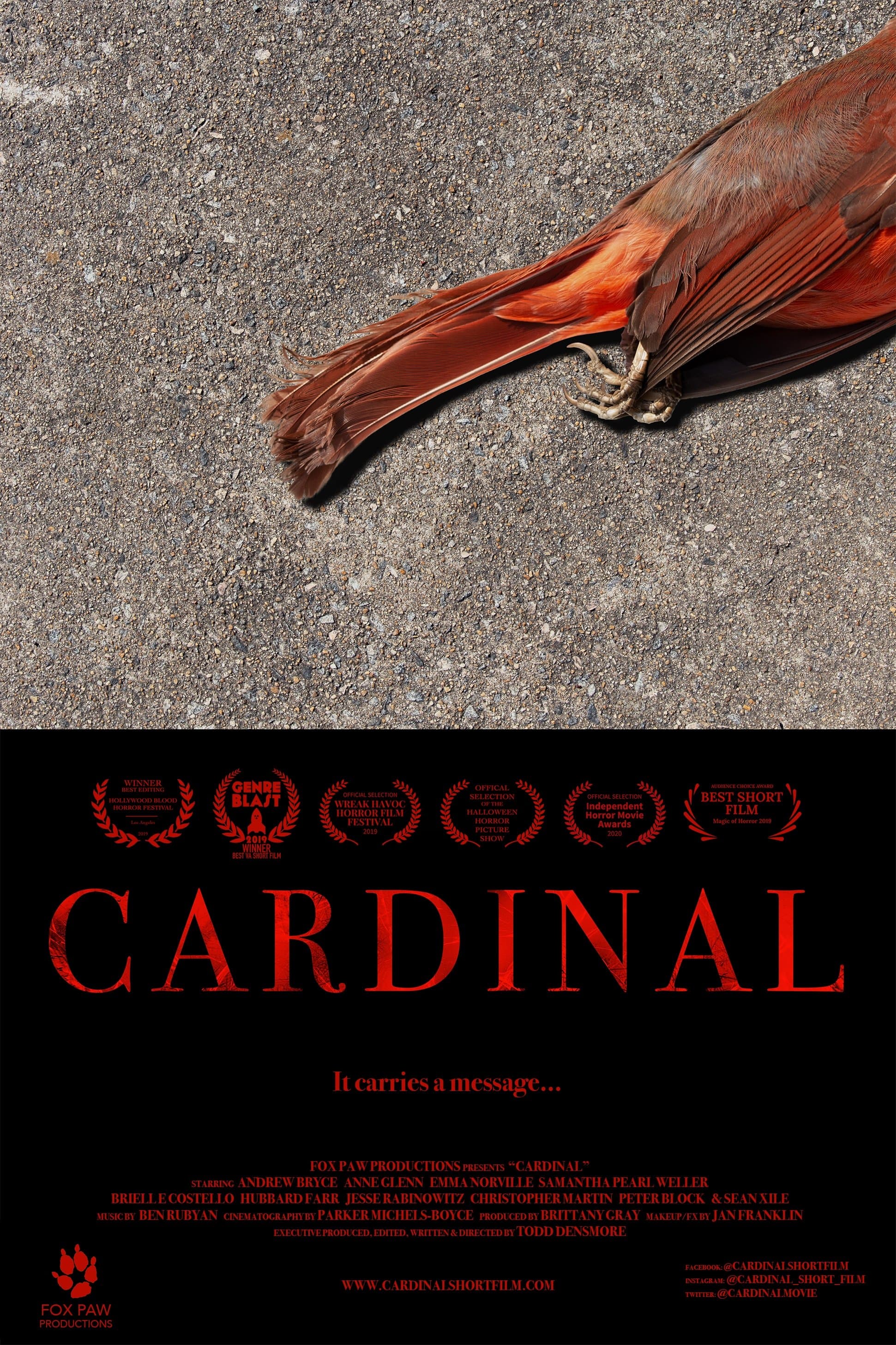 Cardinal photo