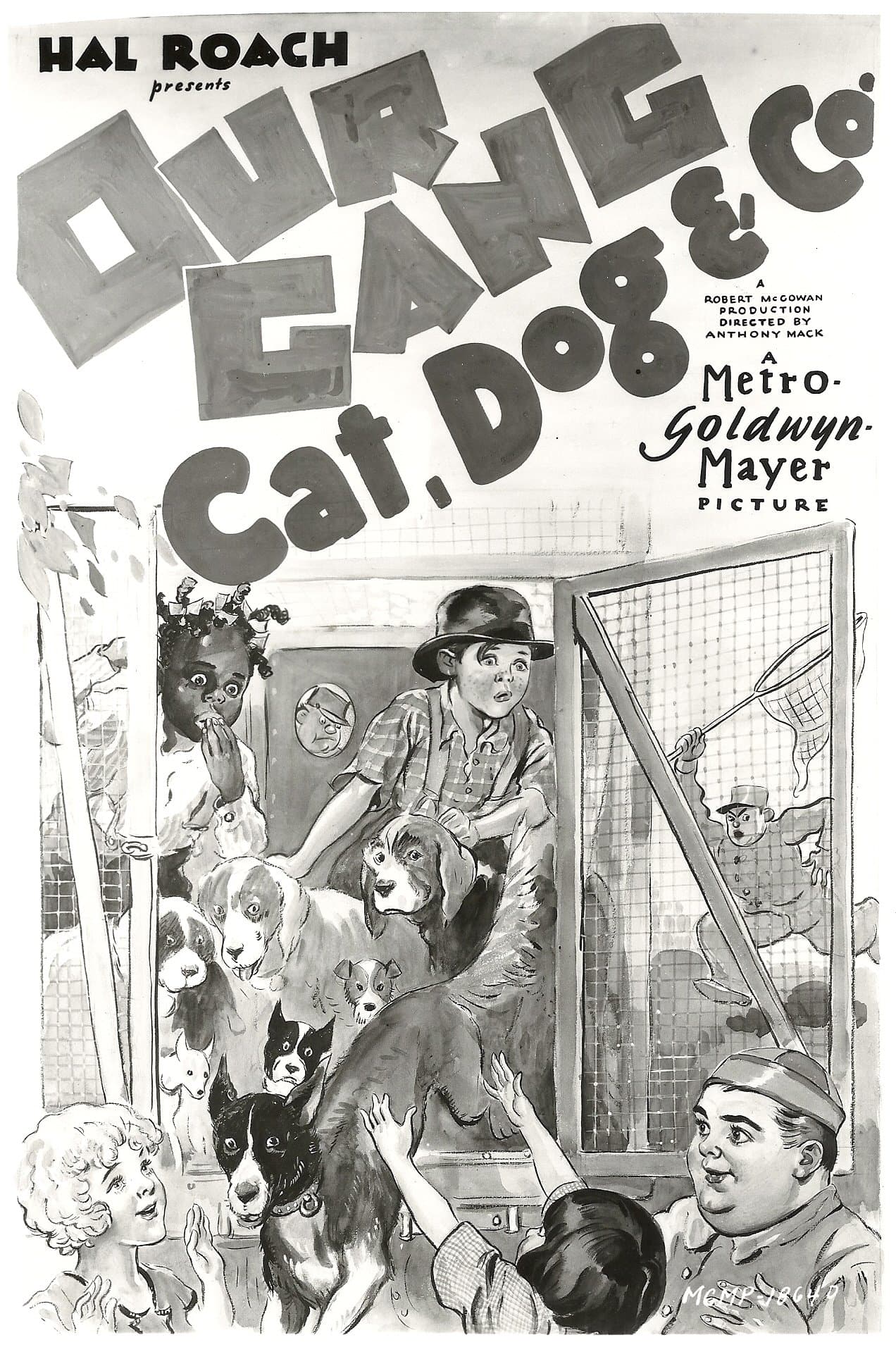 Cat, Dog & Co. photo
