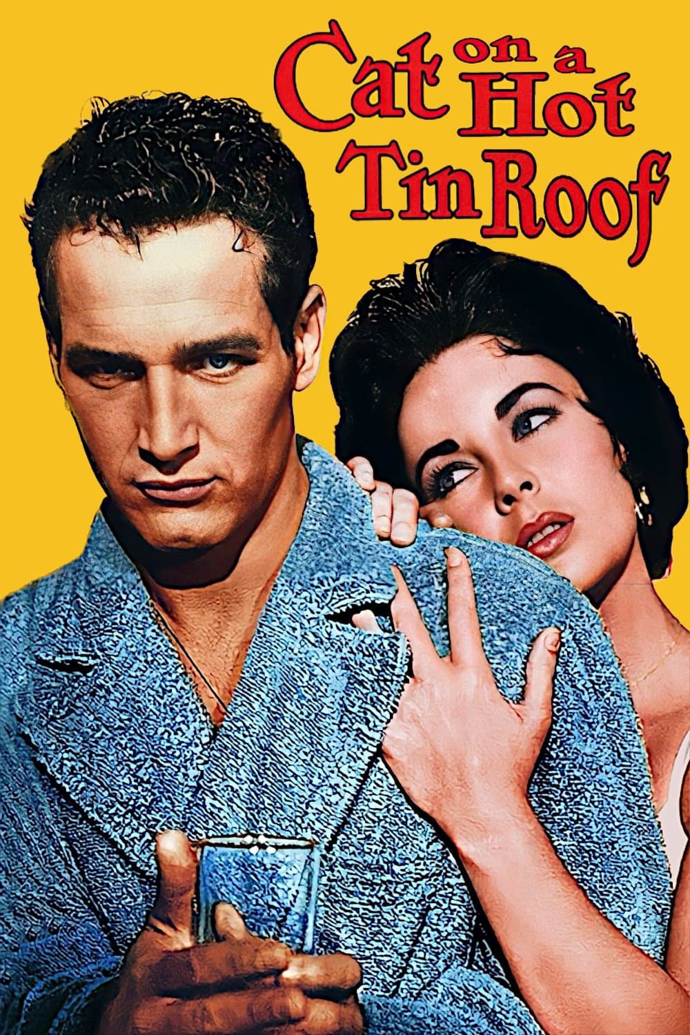 Cat on a Hot Tin Roof photo