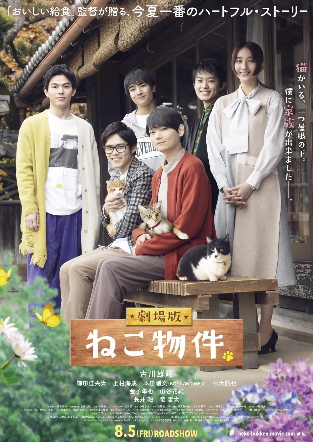 Cat Sharehouse photo