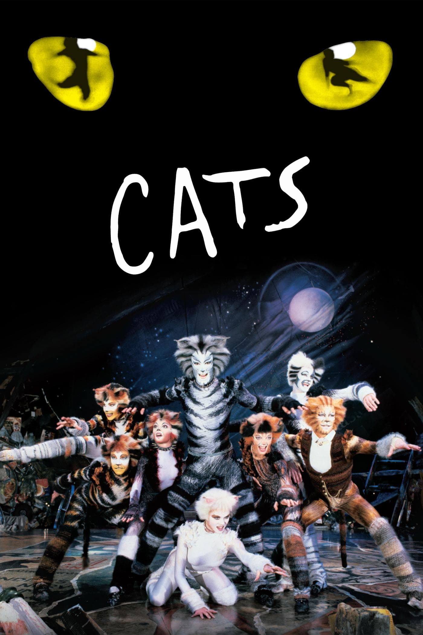 Cats photo