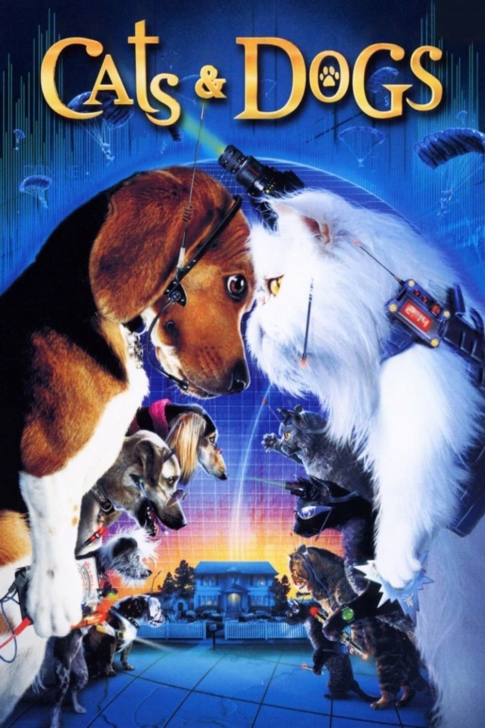 Cats & Dogs photo